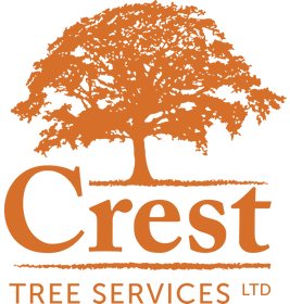 Crest Tree Services Ltd - Local Tree Surgeon in Bristol
